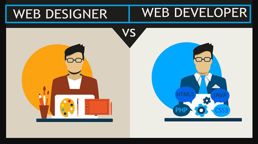 Web Developer nedir